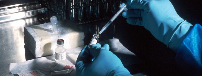 NTG24 - Eine weitere Vogelgrippe-Infektion in den USA sorgt für Aufsehen und der Kurs von CureVac springt unkontrolliert in die Höhe